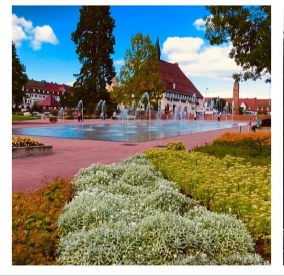 Апартаменти Lieblingsort Фройденштадт Екстер'єр фото